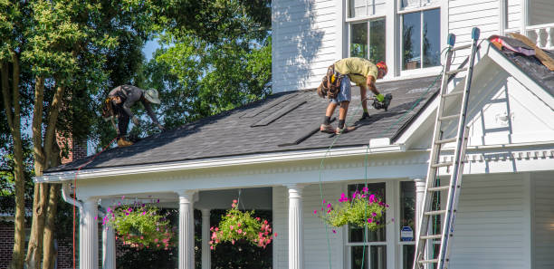 Best Storm Damage Roof Repair  in Underwood Petersville, AL